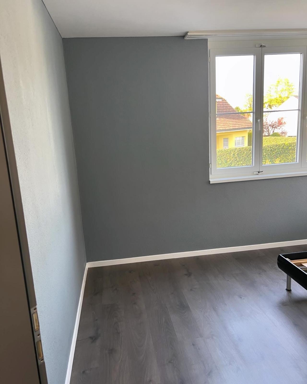 Maler Projektansicht 3
